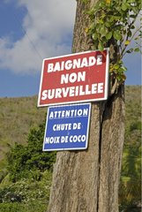 Preventing signs on a trunk Martinique