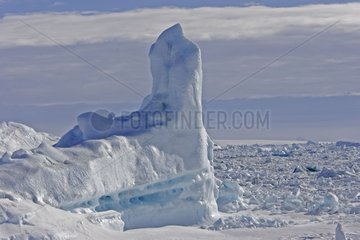 Ice pack and icebergs Antarctica