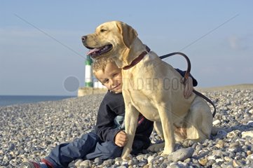 Junge und seine Labrador -Schlampe am Strand Le Tréport Frankreich