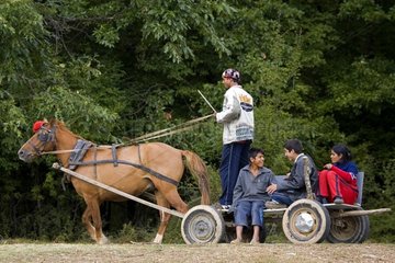 Gypsyes on a cart in forest Bulgaria