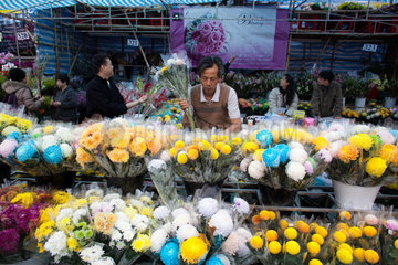 flower market during Chinese new year  Hongkong