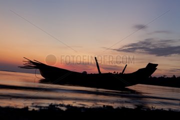 Boat filled with mangrove wood in Burma