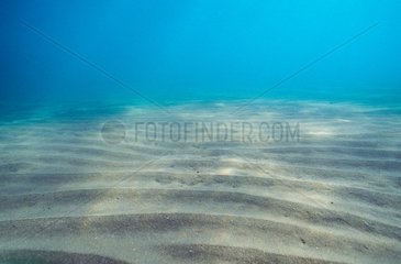 Sandiger Meeresboden mit Ripple-Marken in der Mütze d'Agde Héault Frankreich