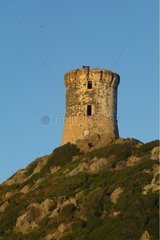 Genoesen Turm mit Blick auf das Mittelmeer Seer Ajaccio Korsika