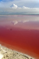 Red lake close to the Saltworks Mexico