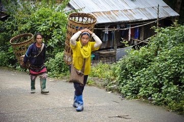 Lawa woman returning from the fields La Up village Thailand