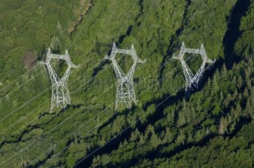 Pylons EDF in the forest of Lomont Doubs