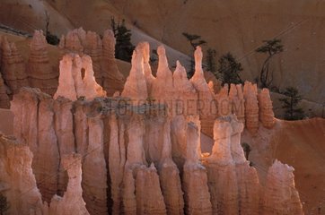 Eroded mineral landscape in Bryce Canyon Utah United States
