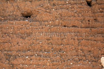 Detail einer alten Cob -Wand Yunnan China