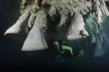 Scuba Diver in the Zapote Cenote - Yucatan Mexico