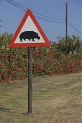 Sign indicating the crossing of the South African Hippopotamus