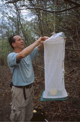 Zubereitung einer Schmetterlingsfalle für Nicaragua -Inventar