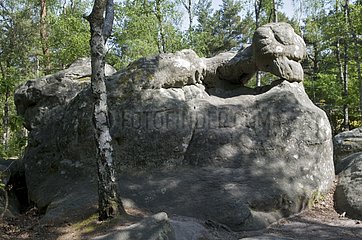Sandstone rocks in the massif of Fontainebleau France