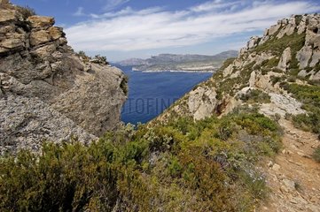 La Baie de Cassis seen from the Cap Canaille France