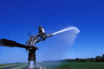 Irrigation Canon d'arrosage avec manometre de pression