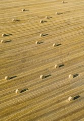 Air shot of a field with haystacks France