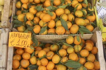 Mandarines en vente sur le marché