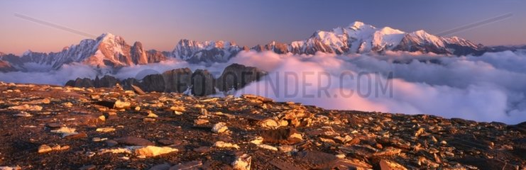 Mont Blanc at sunset from the summit of Mont Buet Alps
