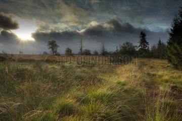 Landscape of fen Walloon Ardennes Belgium