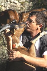 Man kissing a goat France