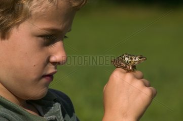 Garçon de 7 ans tenant & observant une Grenouille des marais