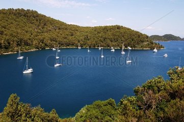 Bateaux de plaisance dans une anse de l'île de Mljet Croatie
