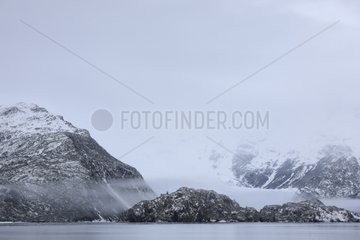 Glacier in the Kenai Fjords NP Alaska