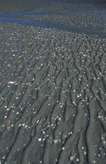 Ondulations sur une plage PN Mer des Wadden Allemagne