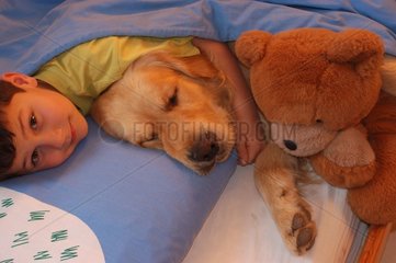 Enfant et golden retriever endormi dans un lit