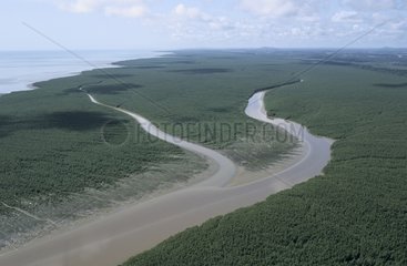 Air shot of the river Carouabo's mouth French Guiana
