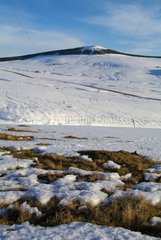 Sight on Mount Mezenc from the snow-covered plateau France
