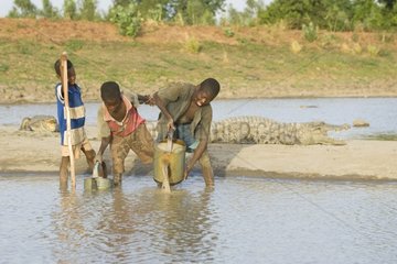 Fetching water and Crocodile Mare Bazoulé of Burkina Faso