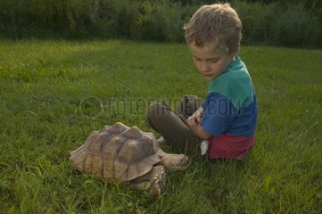 Boy sitting in the grass with a large terrestrial Tortoise