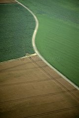 Felder von Müsli mit verschiedenen Reifung Frankreich