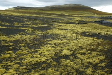 Champ de lave et cratères de 1783 Lakagigar Sud-est Islande