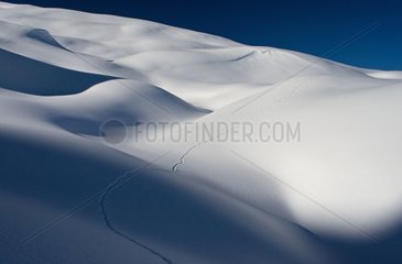 Traces of snow bumps Reserve Carlaveyron Alps France