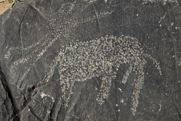 Petroglyphs carved in black dolomites in RSA