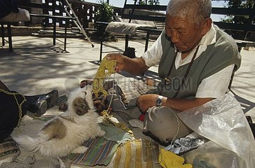 Old man playing with a dog Dharamsala India