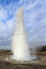 Eruption of the geyser Strokkur at Geysir in Iceland