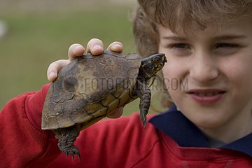Boy with an Eastern box turtle in the hand Mississippi USA