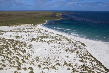 Sea Lion Island Falkland Islands Atlantic Ocean