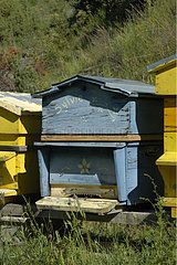 BienenstÃ¶cke im Wood Vanoise National Park Frankreich