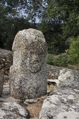 Gesicht in eine Statue-Menhir-Filitosa Korsika Frankreich geschnitzt