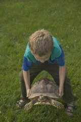 Kleiner Junge  der eine große terrestrische Schildkröte hebt
