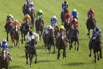Horse-race in the United Kingdom