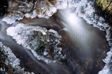 The water of a brook taken by the ice the Vosges France