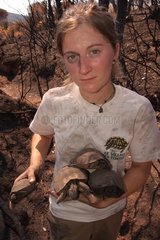 Biologiste et cadavres de tortues d' Hermann