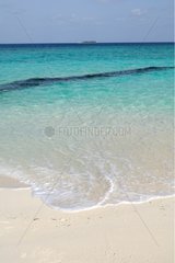 Beach of sand dans the archipelago of Maldives