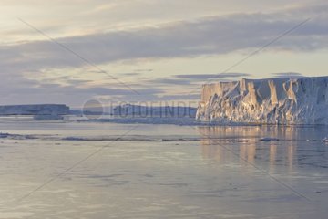 Icebergs at dusk Antarctic Peninsula