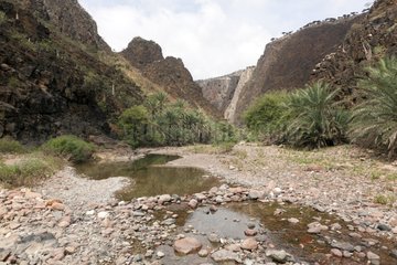 River Plateau Diksam down on the island of Socotra